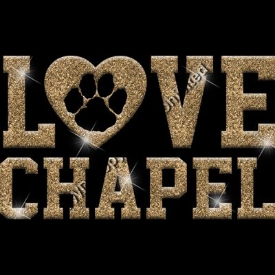 GLT51 GOLD GLITTER Thumbnail